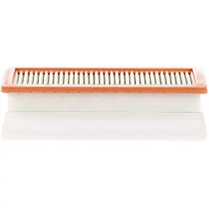 MANN FILTER Filtre à air C36003 pas cher