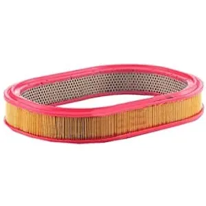 MANN-FILTER C 3975/1 Filtre à air - VÉHICULE DE TOURISME + UTILITAIRES pas cher