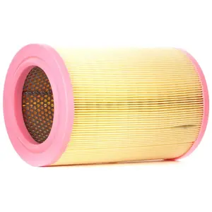 MANN-FILTER C 15 005 Filtre à air - VÉHICULE DE TOURISME + UTILITAIRES pas cher
