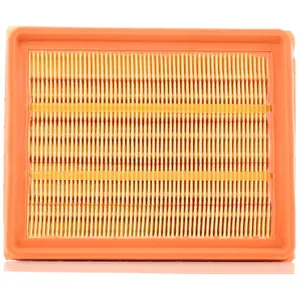 MANN-FILTER C 21 104/2 Filtre à air - VÉHICULE DE TOURISME + UTILITAIRES pas cher