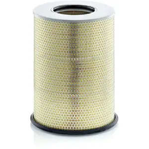 MANN-FILTER C 31 1345/1 Filtre à air - POIDS-LOURDS + AUTOBUS pas cher