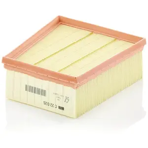 MANN-FILTER C 22 026 Filtre à air - VÉHICULE DE TOURISME + UTILITAIRES pas cher