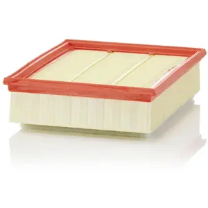 MANN-FILTER C 25 018 Filtre à air - VÉHICULE DE TOURISME + UTILITAIRES pas cher