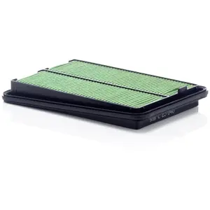 MANN-FILTER C 25 040 Filtre à air - VÉHICULE DE TOURISME + UTILITAIRES pas cher
