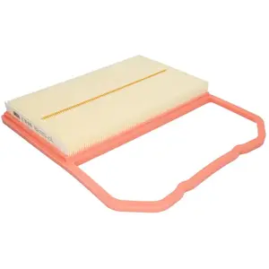 MANN-FILTER C 31 031 Filtre à air - VÉHICULE DE TOURISME + UTILITAIRES pas cher