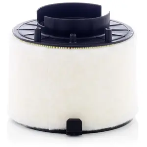 MANN-FILTER C 17 009 Filtre à air - VÉHICULE DE TOURISME + UTILITAIRES pas cher