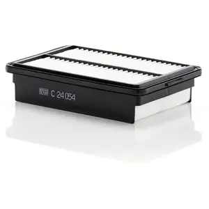 MANN-FILTER C 24 054 Filtre à air - VÉHICULE DE TOURISME + UTILITAIRES pas cher