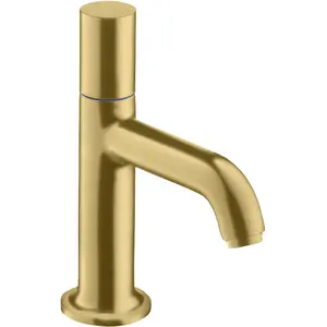 Axor, Robinetterie de salle de bains, Uno vanne verticale, sans kit de vidange, raccordement eau froide, saillie 100mm