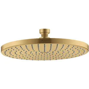 Axor, Pommeau de douche, Starck ShowerSolutions Pommeau de douche à pl...