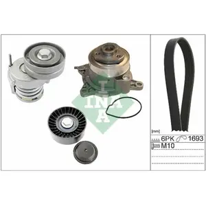 Multiriem set + waterpomp 529053430 Ina