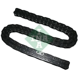 Ketting Audi 553024910 Ina