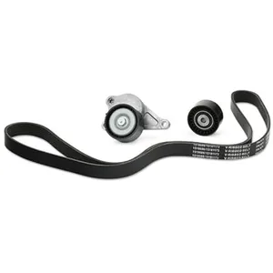 Comparateur de prix : Poly V-riem Set Nissan Opel Renault Vauxhall 529035510 Ina