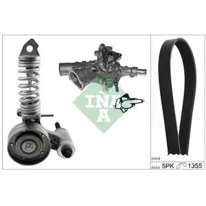 Multiriem set + waterpomp 529029731 InaVendu parwinparts