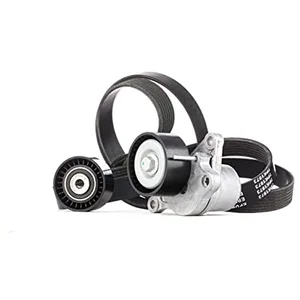 Multiriemen Set Nissan 529031710 Ina pas cher