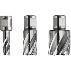 Fein, Scie-cloche, HSS SPECIAL carotteuse 17mm (17 millimètres) pas cher