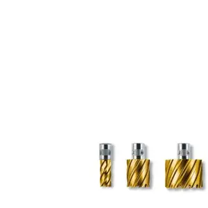 Fein Couronne de carrotage dura 25 d. nominal 18 mm Revêtu de TiN Quick in pas cher