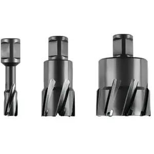 FEIN Corona Ø57x50 HM Weldon pas cher