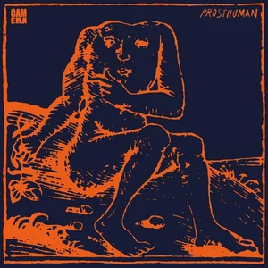 REPHLEX Camera - Prosthuman (CD) pas cher