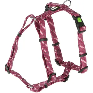 Kerbl Vaisselle Colorado (Chien, Général), Collier + laisse pas cher