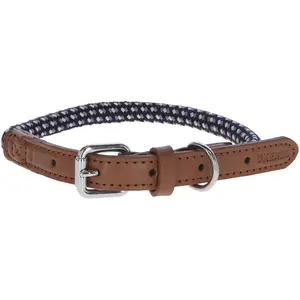 Kerbl Collier Phoenix, bleu, 9mm / 30-40 cm (Chien), Collier + laisse pas cher