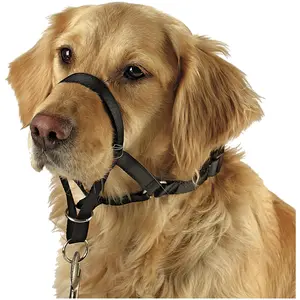 KERBL PET Maxi Coach Muselière pour Chien Noir < 44 cm Taille 5