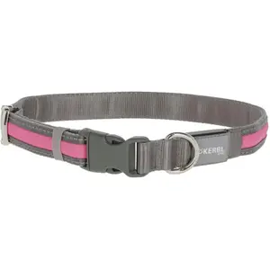 Kerbl Pet Collier lumineux Light und Reflex rose, M/L