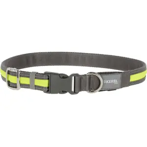 Kerbl Pet Light & Reflex Laisse lumineuse Jaune 25 mm x 120 cm pas cher