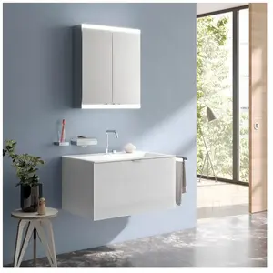 Emco, Armoire de toilette, asis evo Armoire lumineuse de toilette, modèle apparent, 2 portes, 600 mm pas cher