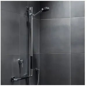 Emco, Poignées + Aides pour la salle de bain, Poignée de douche SYSTEM... pas cher