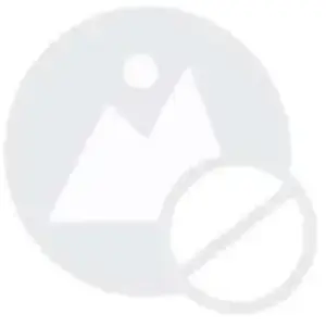 Continental Conti VTT 29 Tuyau pour homme Noir 42 mm pas cher