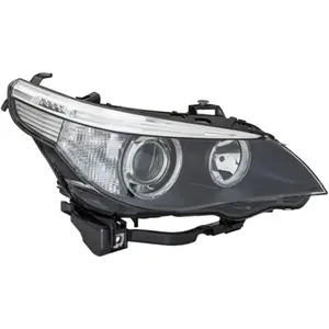 Hella Koplamp rechts pas cher