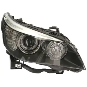 Hella Koplamp rechts pas cher