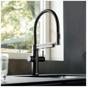 Blanco, Robinetterie de cuisine, Drink.filter Evol-S ProVendu pargalaxus