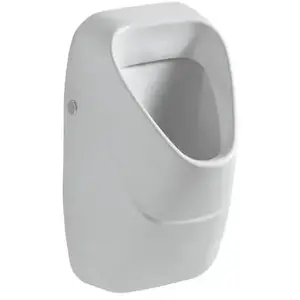 Geberit, Cuvette toilettes + bidet, Urinoir Alivio, avec filtre de vid...Vendu pargalaxus