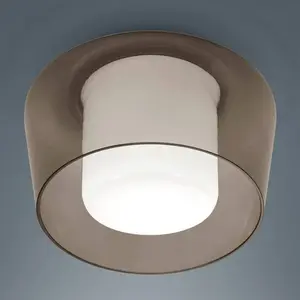 Helestra, Applique + plafonnier, Plafonnier Canio (E27) pas cher