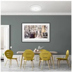 Helestra, Applique + plafonnier, Plafonnier Bora (3300 lm)Vendu pargalaxus