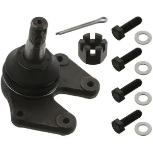 Comparateur de prix : Febi-Bilstein Fuseekogel