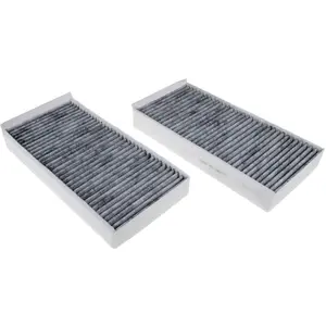 Febi Bilstein Innenraumfiltersatz 45865 pas cher