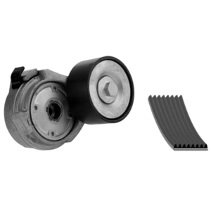 FEBI BILSTEIN Kit de courroie d'accessoire (Ref: 30206)