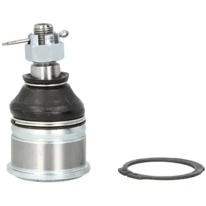 Comparateur de prix : Febi-Bilstein Ondersteunende askoppeling