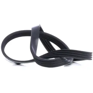 Febi-Bilstein 28775 Courroie trapézoïdale à nervuresVendu parwinparts