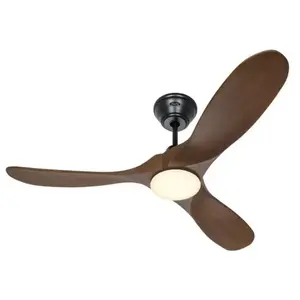 Casafan - Ventilateur de plafond Eco Genuino-L 122 ms-nb pas cher