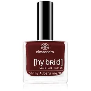 Alessandro Hybrid Nagellak pas cher