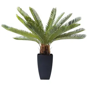 Plante décorative Cycas 78cm Kare Design pas cher