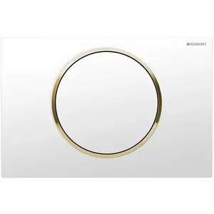 Comparateur de prix : Plaque de déclenchement pour rinçage interrompable - Geberit - Sigma10...