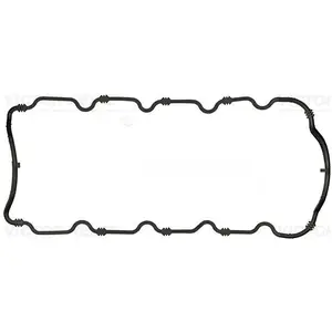 Reinz Carterpakking pas cher