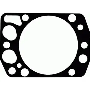 REINZ Joint de culasse (Ref: 61-25275-00) pas cher