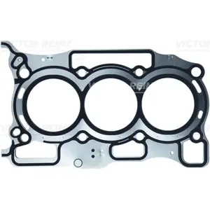 Reinz 61-10131-00 DANA pas cher