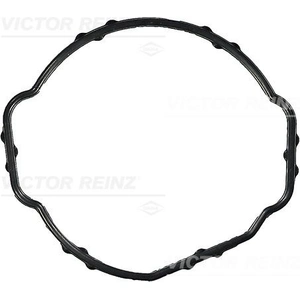 Pakking thermostaathuis 713940800 Viktor Reinz