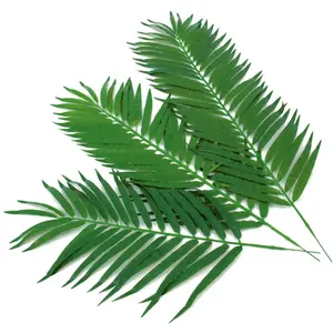 EUROPALMS Plante artificielle - Branche de cocotier - 110 cm - Réaliste - Vert pas cher